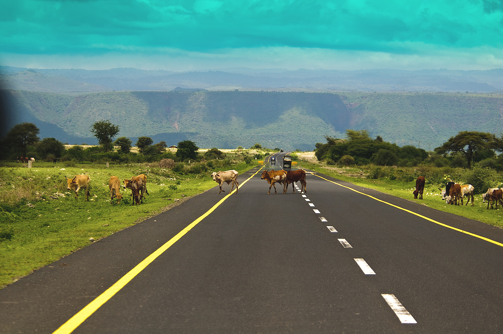 Investments in Infrastructure