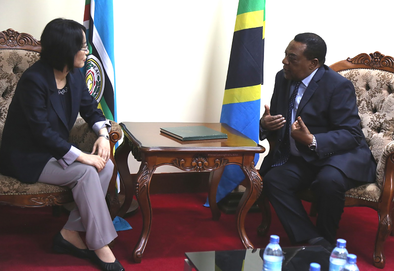 Waziri wa Mambo ya Nje na Ushirikiano wa Afrika Mashariki Dkt. Augustine Mahiga (kulia) akizungumza na Naibu Waziri wa Mipango na Uratibu kutoka Wizara ya Mambo ya Nje ya Jamhuri ya Korea, Mhe. Balozi Paik Ji-ah.