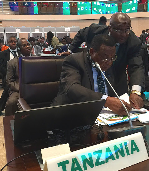 Waziri Mahiga ahudhuria Kikao cha 29 cha Baraza la Mawaziri wa Umoja wa Afrika, KIGALI, Rwanda